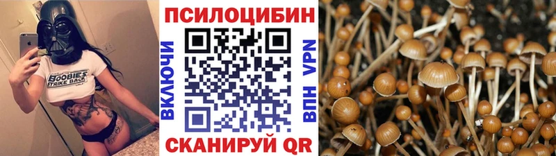 Псилоцибиновые грибы MAGIC MUSHROOMS  Альметьевск 