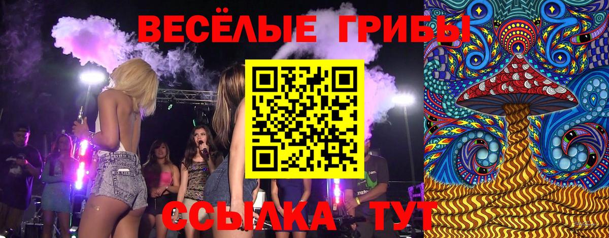Альметьевск  Галлюциногенные грибы прущие грибы  Вход с VPN 