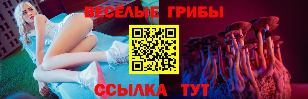 Псилоцибиновые грибы Magic Shrooms Альметьевск